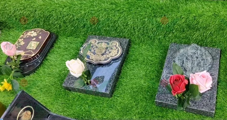 首页-人生就是博