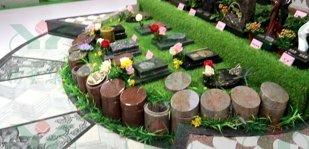 首页-人生就是博