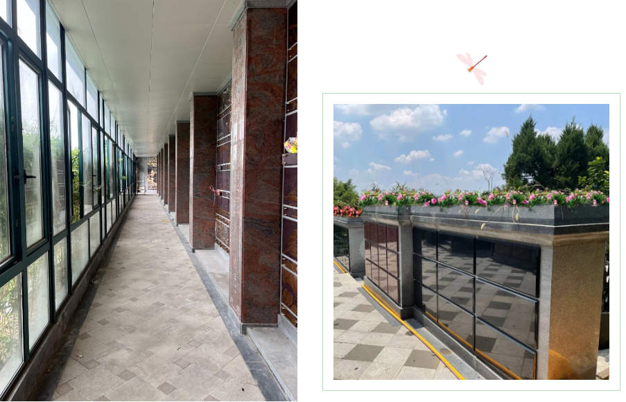 首页-人生就是博