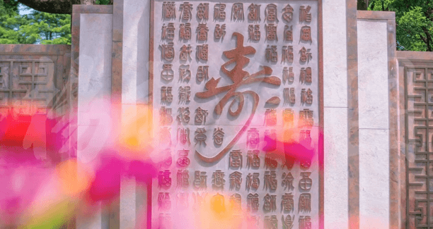 首页-人生就是博