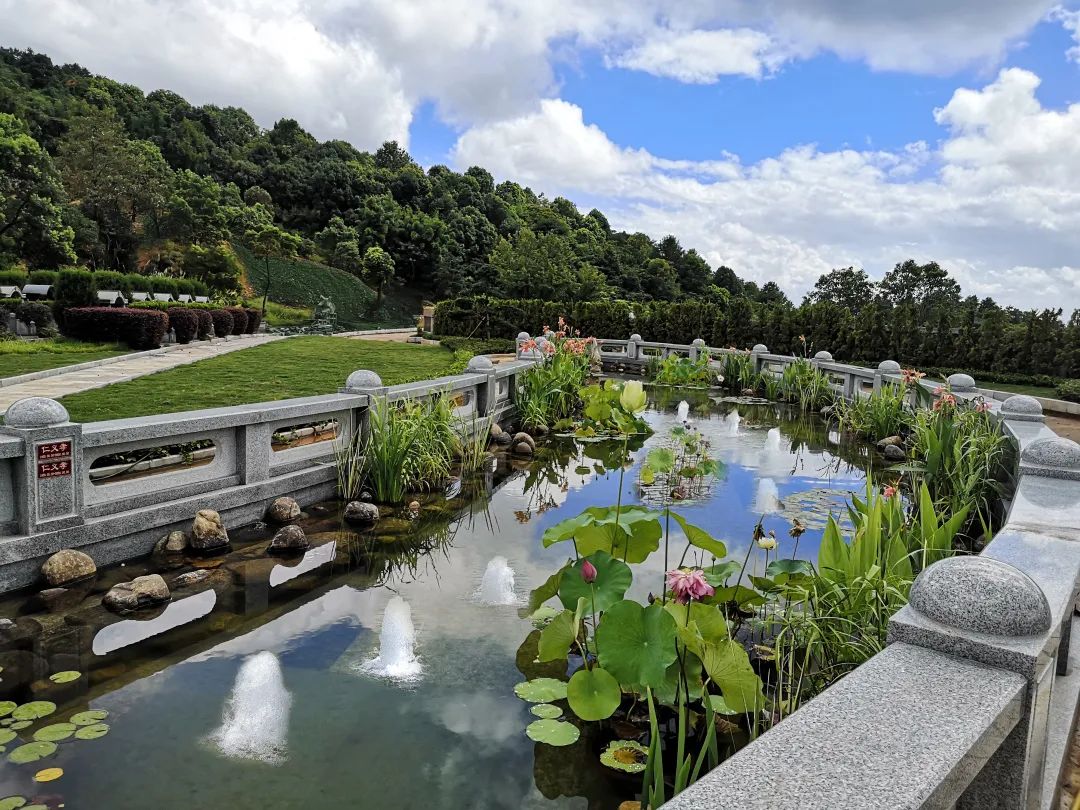 首页-人生就是博