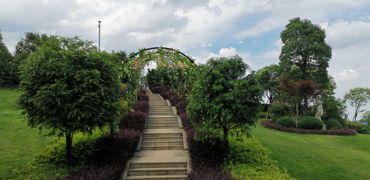 首页-人生就是博