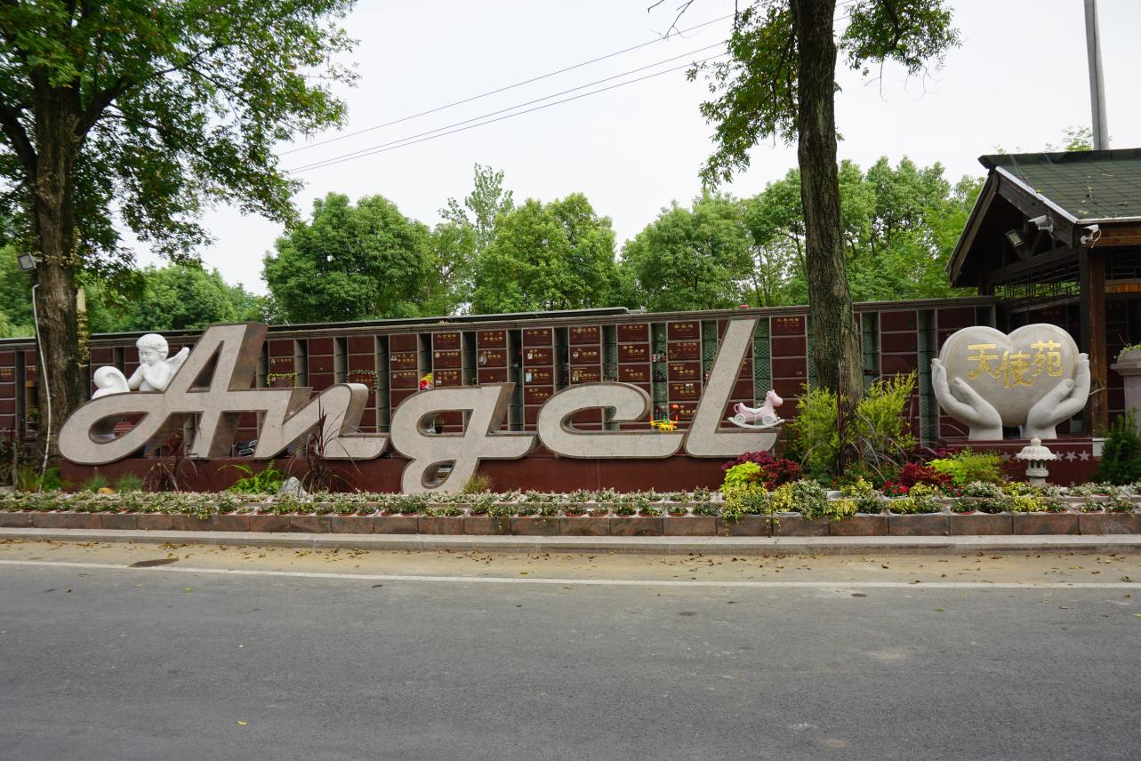 首页-人生就是博