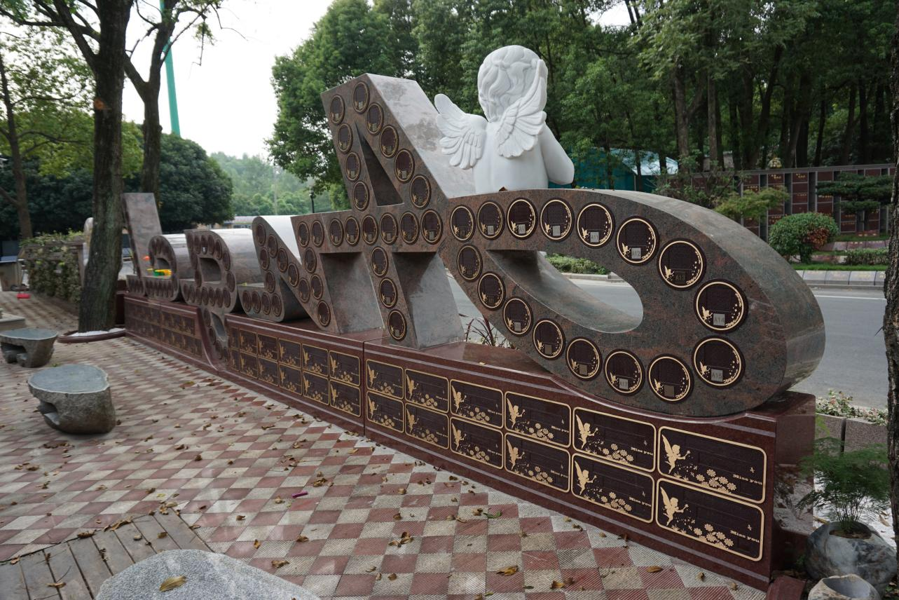 首页-人生就是博