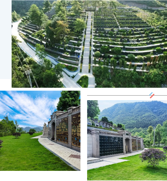 首页-人生就是博