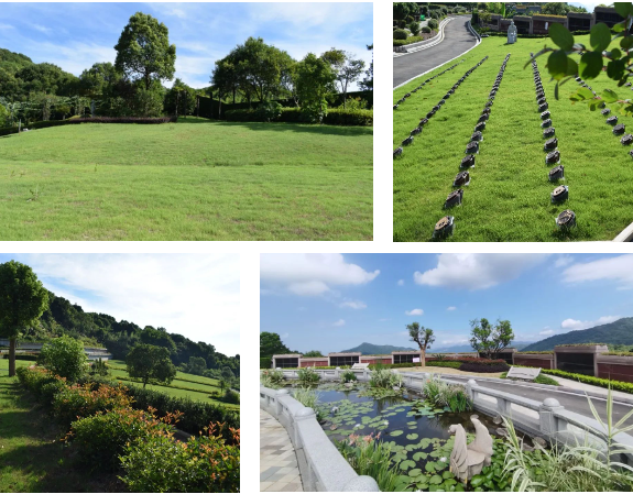 首页-人生就是博