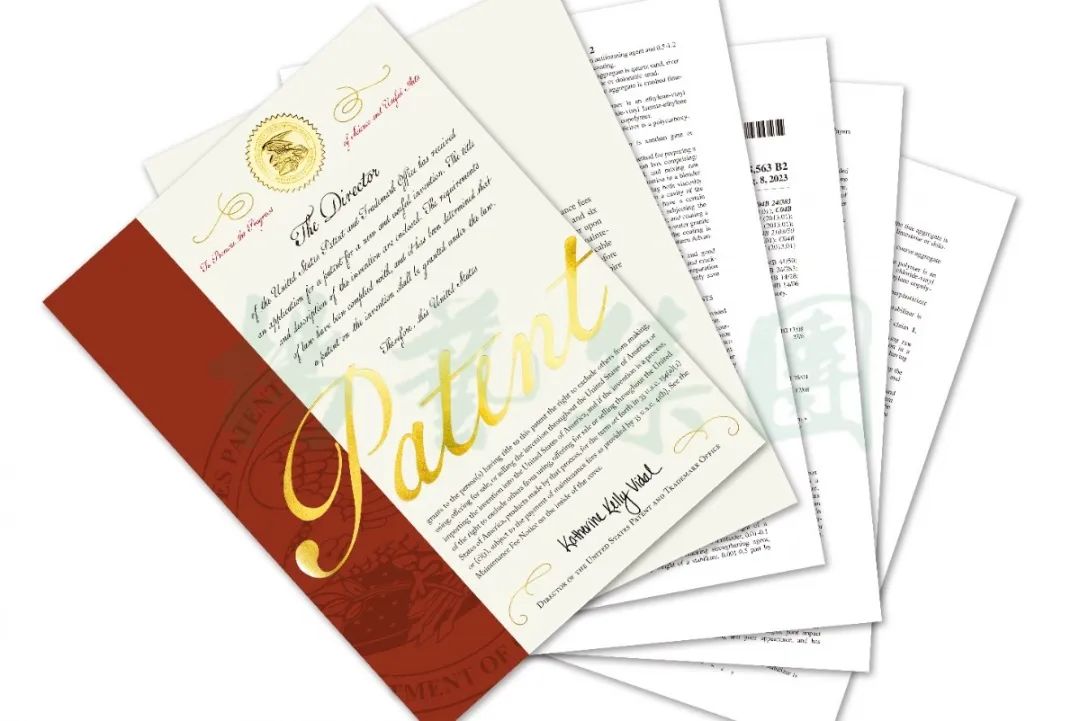 首页-人生就是博