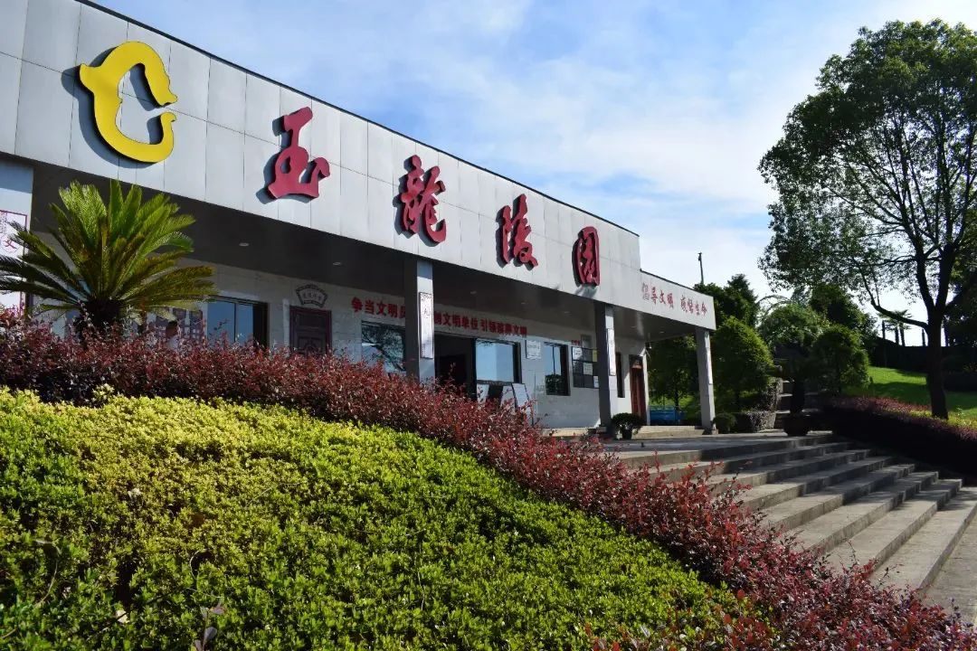 首页-人生就是博