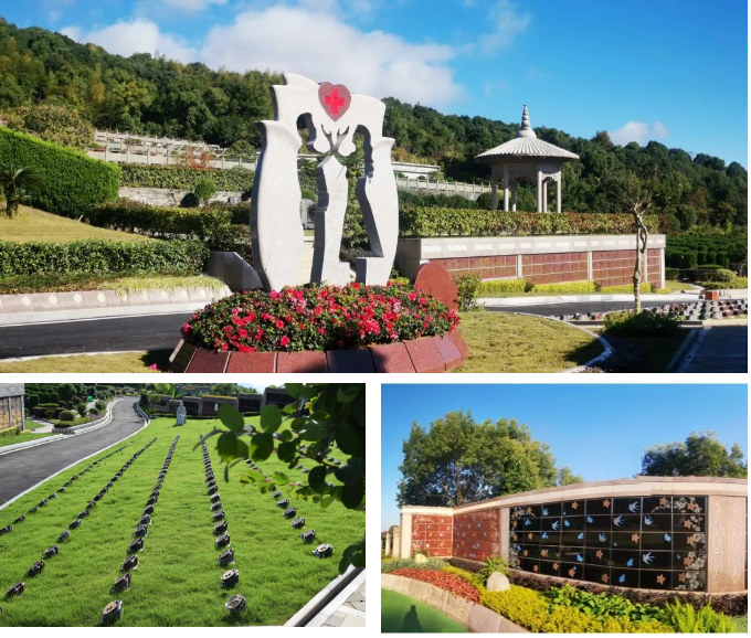 首页-人生就是博