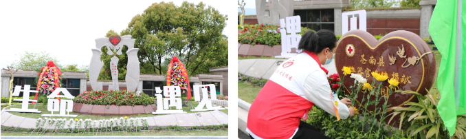 首页-人生就是博