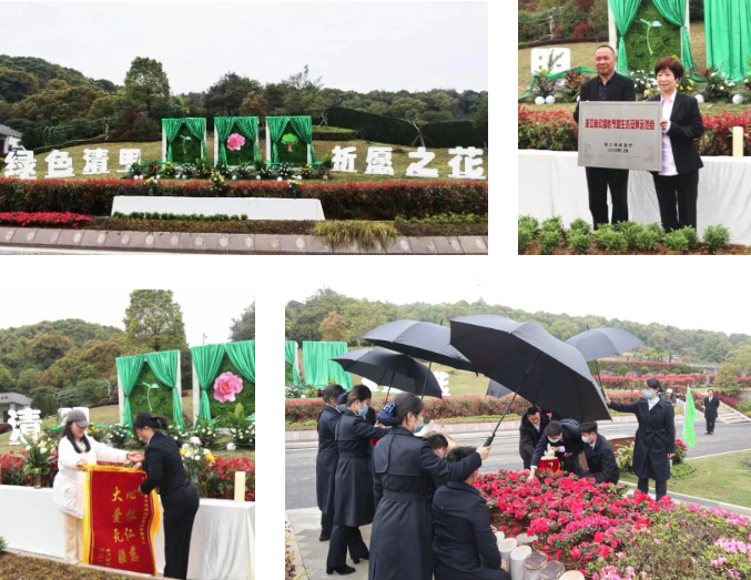 首页-人生就是博