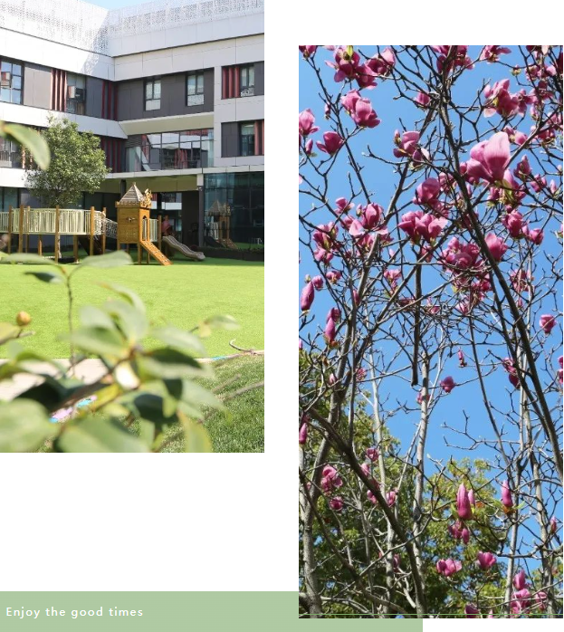 首页-人生就是博