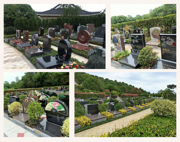 首页-人生就是博