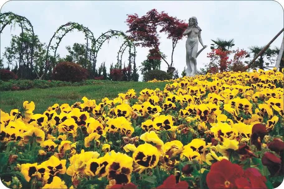 首页-人生就是博