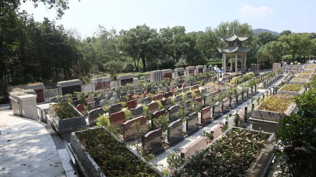 首页-人生就是博