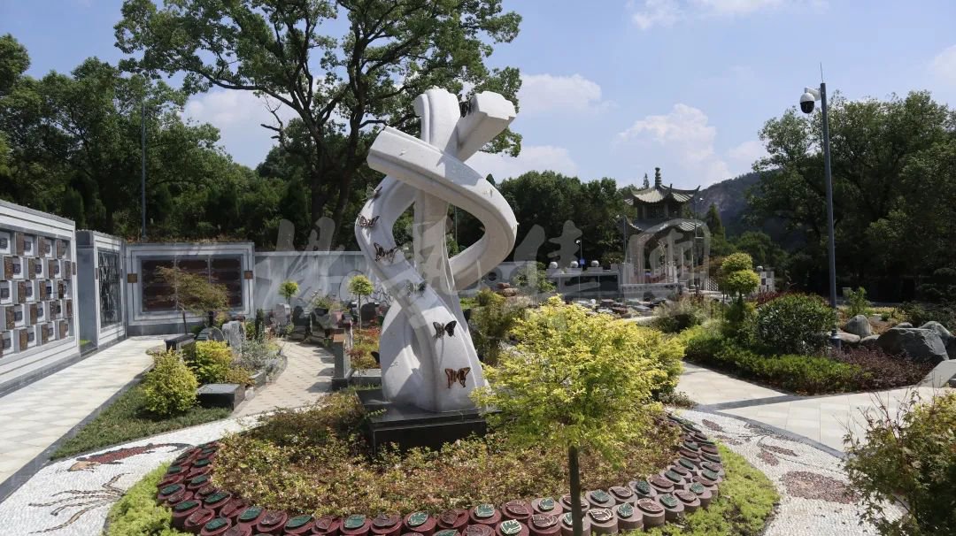 首页-人生就是博