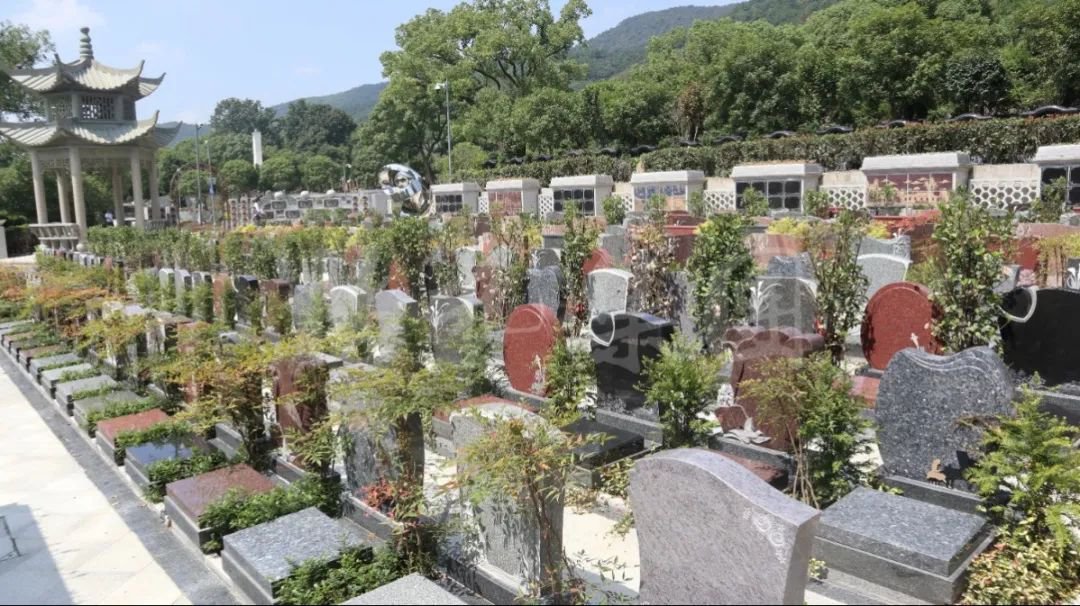 首页-人生就是博