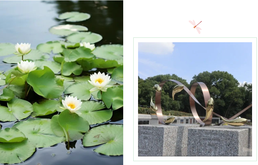 首页-人生就是博