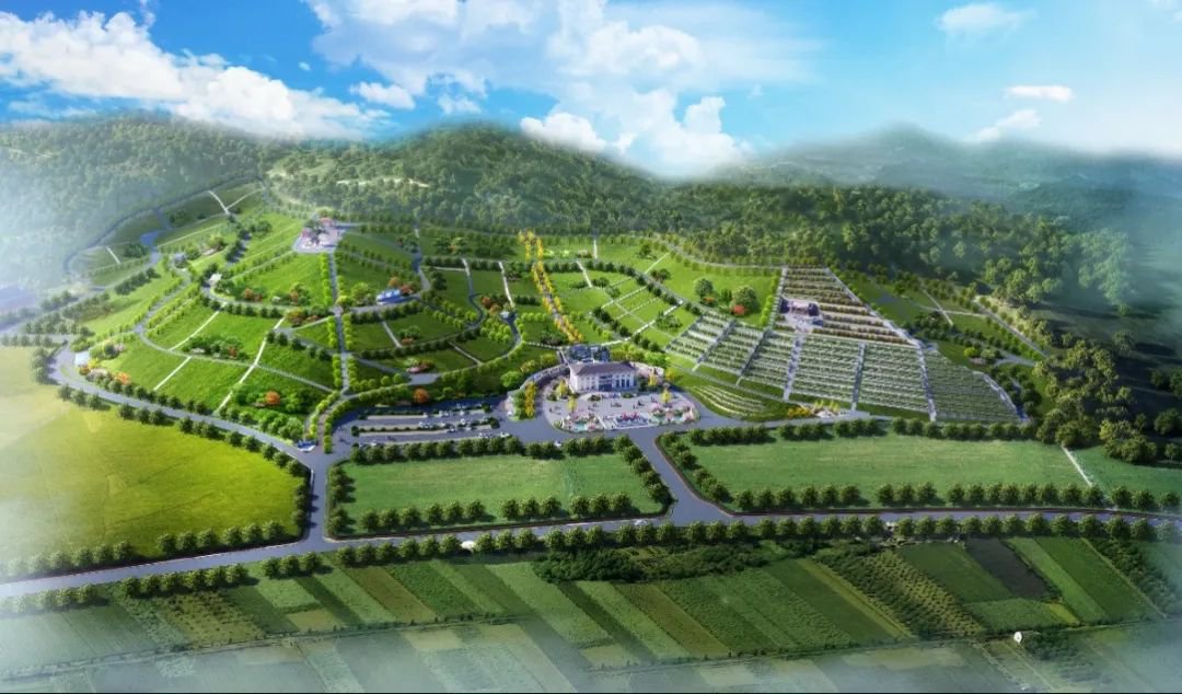 首页-人生就是博