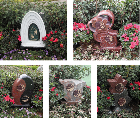 首页-人生就是博