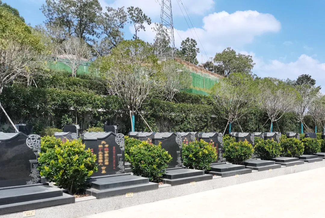 首页-人生就是博