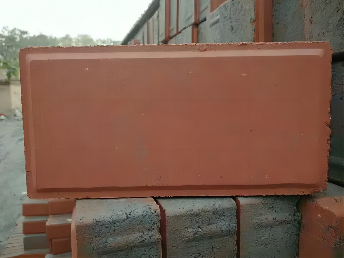 首页-人生就是博