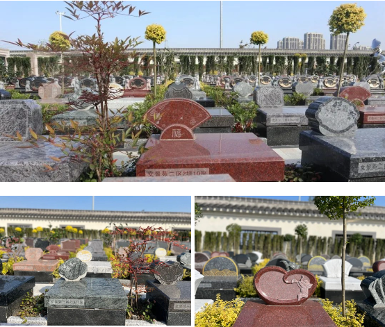 首页-人生就是博