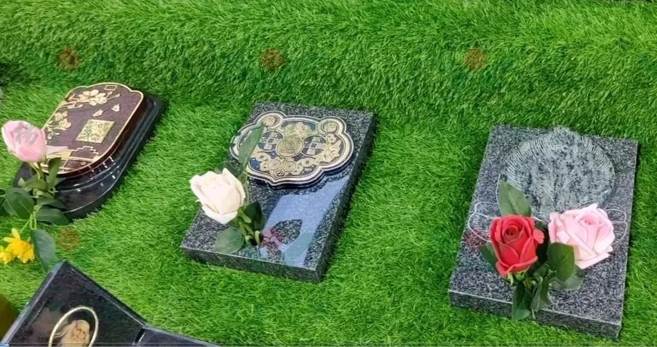 首页-人生就是博