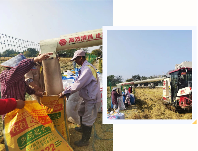 首页-人生就是博