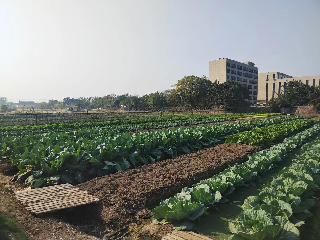 首页-人生就是博