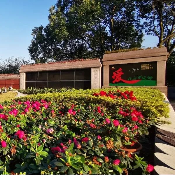 首页-人生就是博