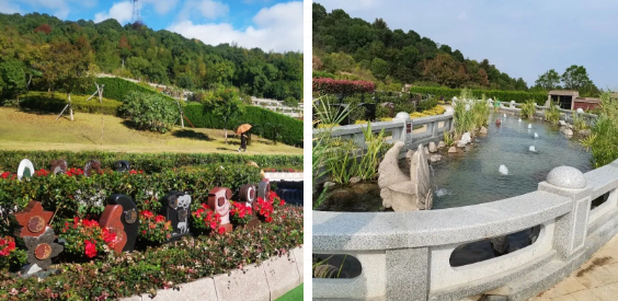 首页-人生就是博