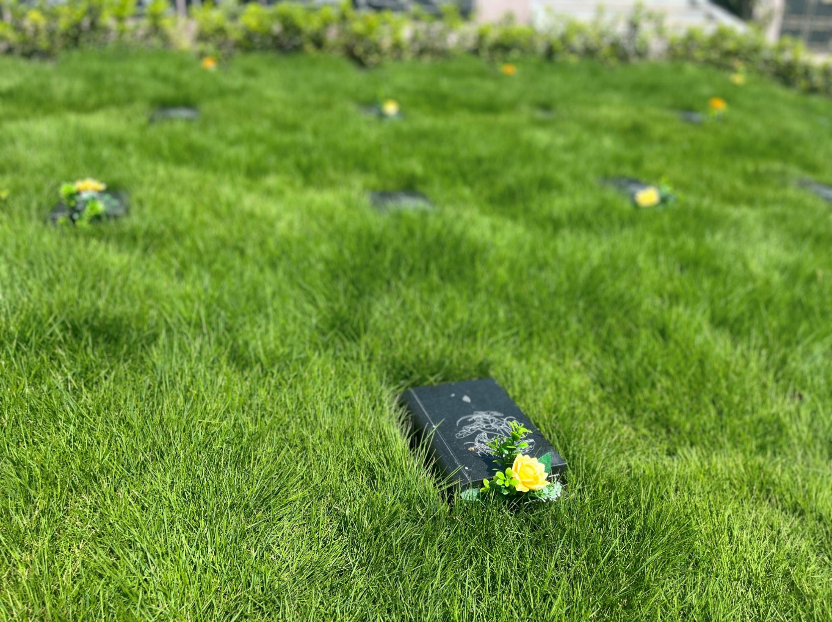 首页-人生就是博