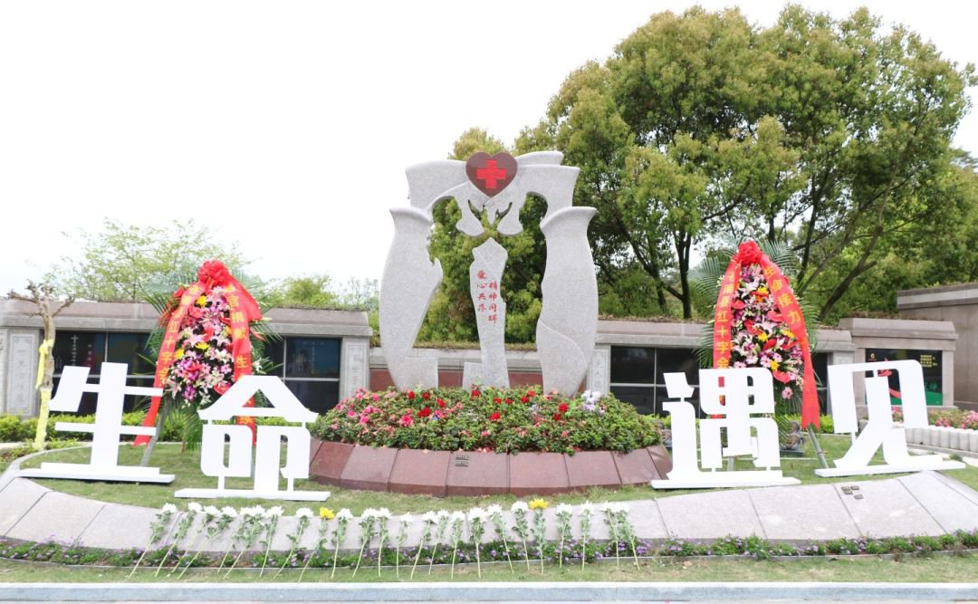 首页-人生就是博