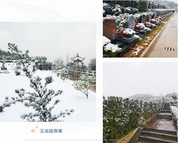 首页-人生就是博