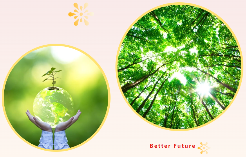 首页-人生就是博