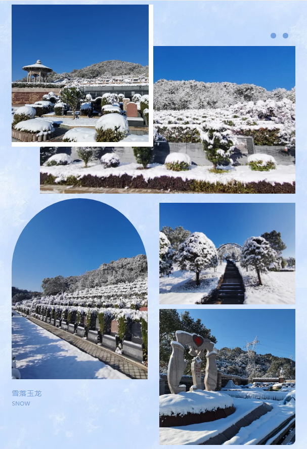 首页-人生就是博