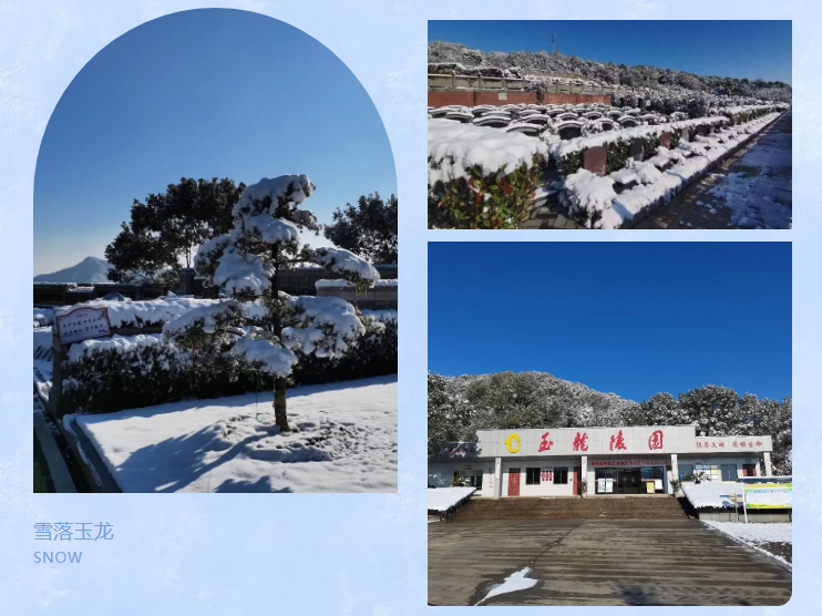 首页-人生就是博