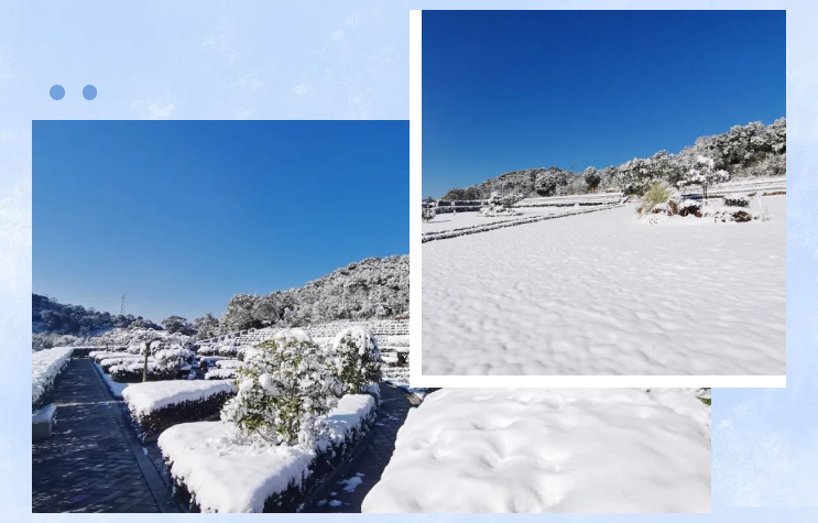 首页-人生就是博