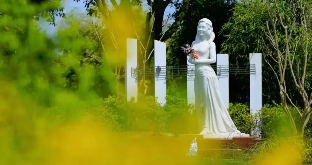 首页-人生就是博