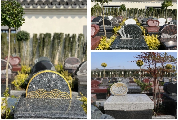 首页-人生就是博