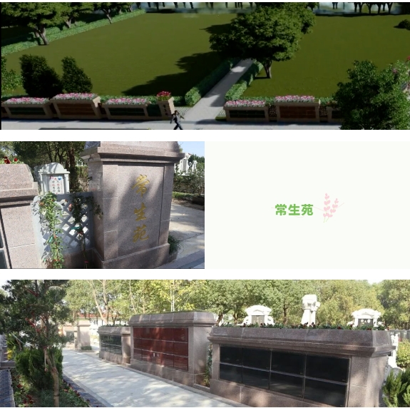 首页-人生就是博