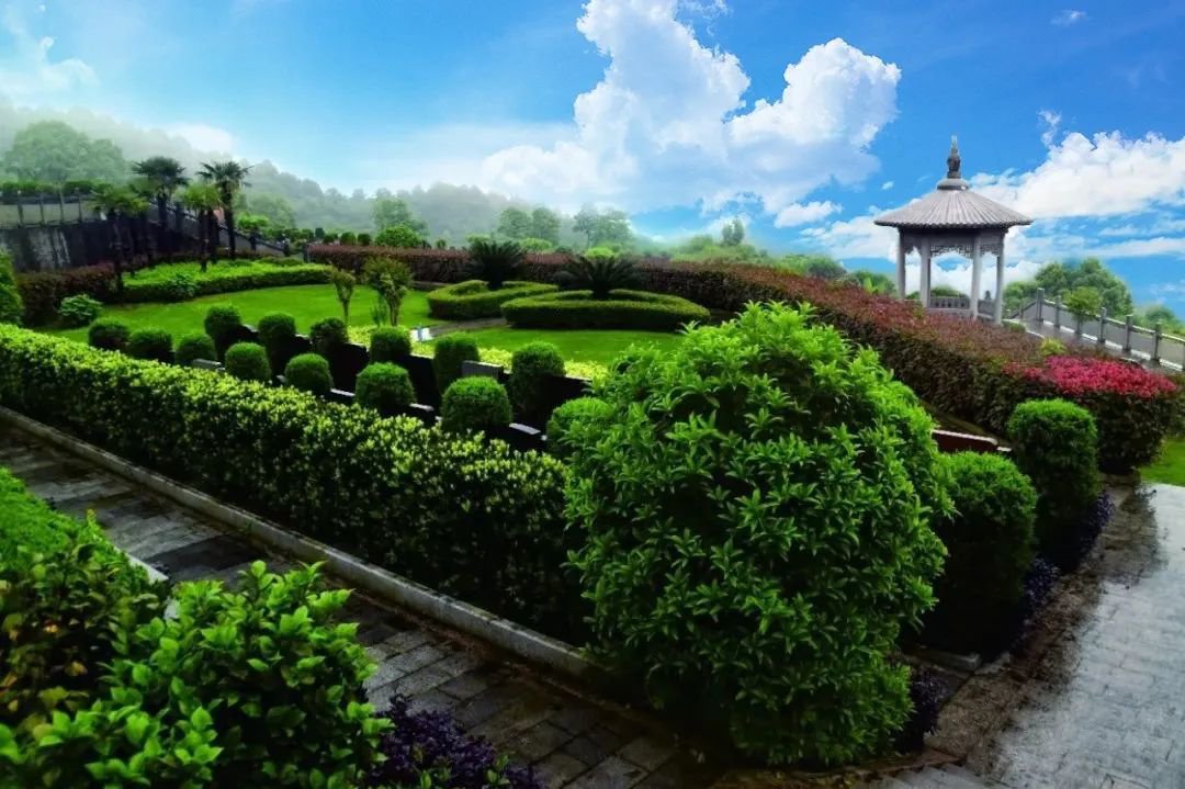 首页-人生就是博