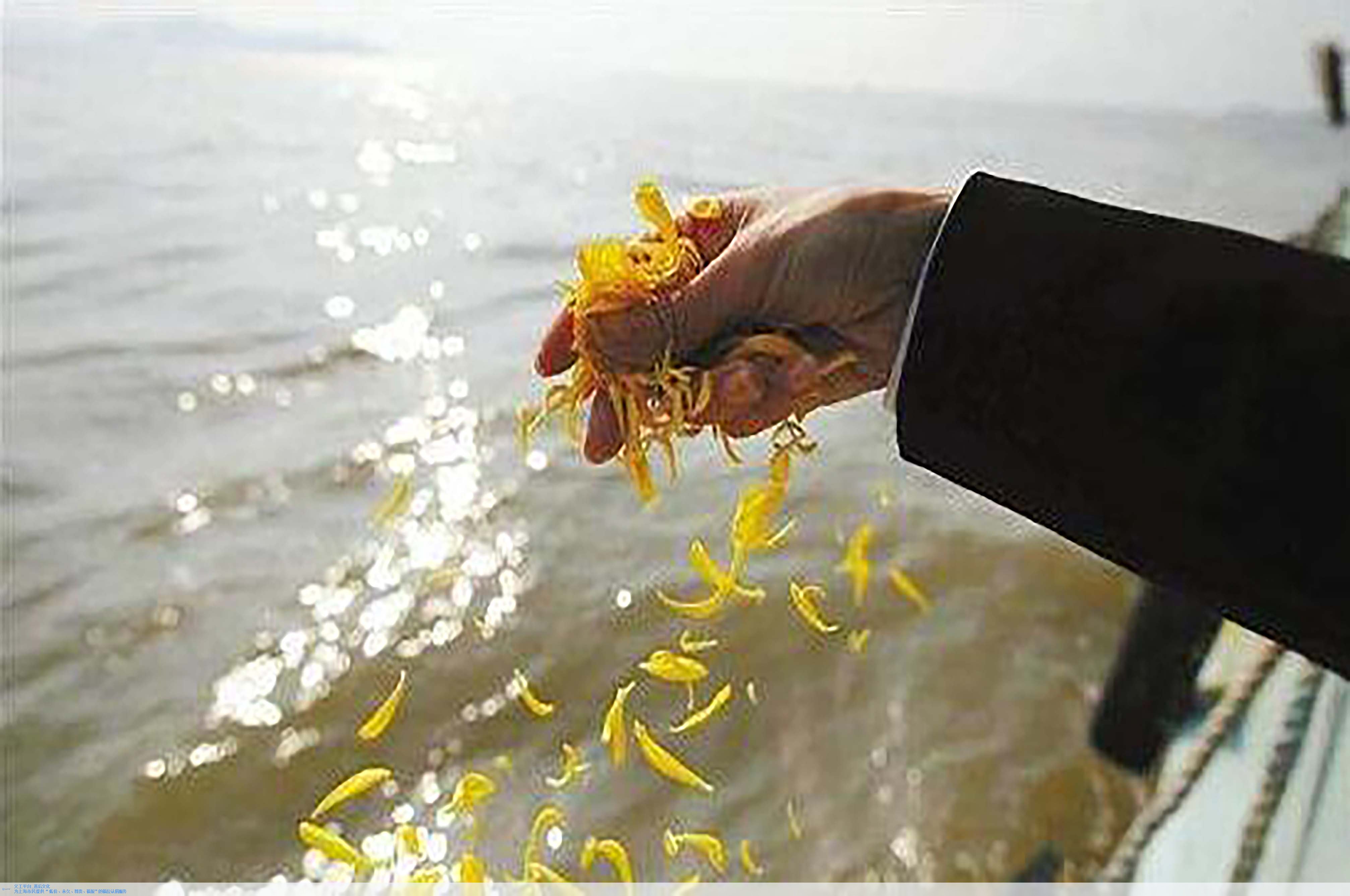 首页-人生就是博