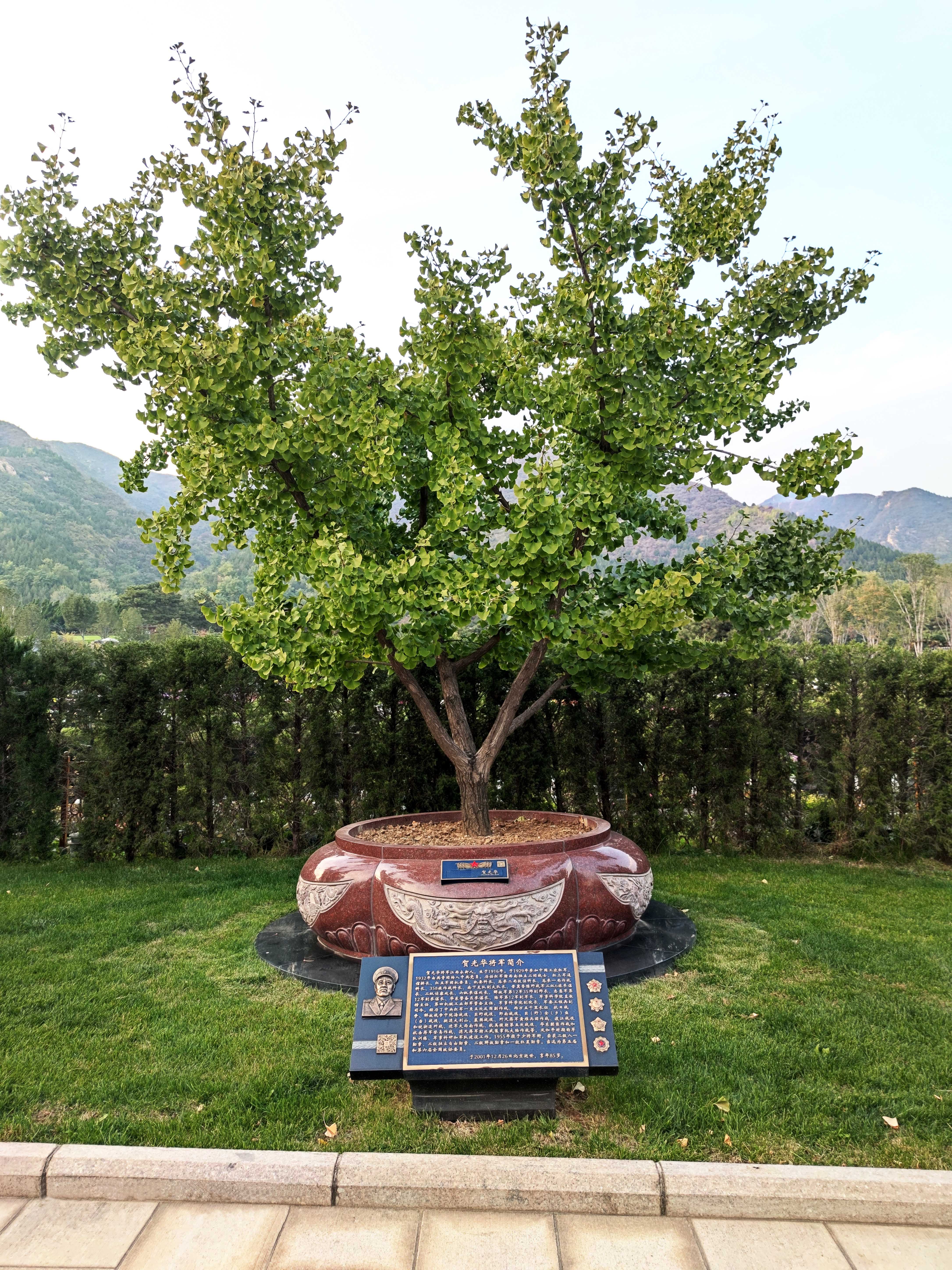 首页-人生就是博