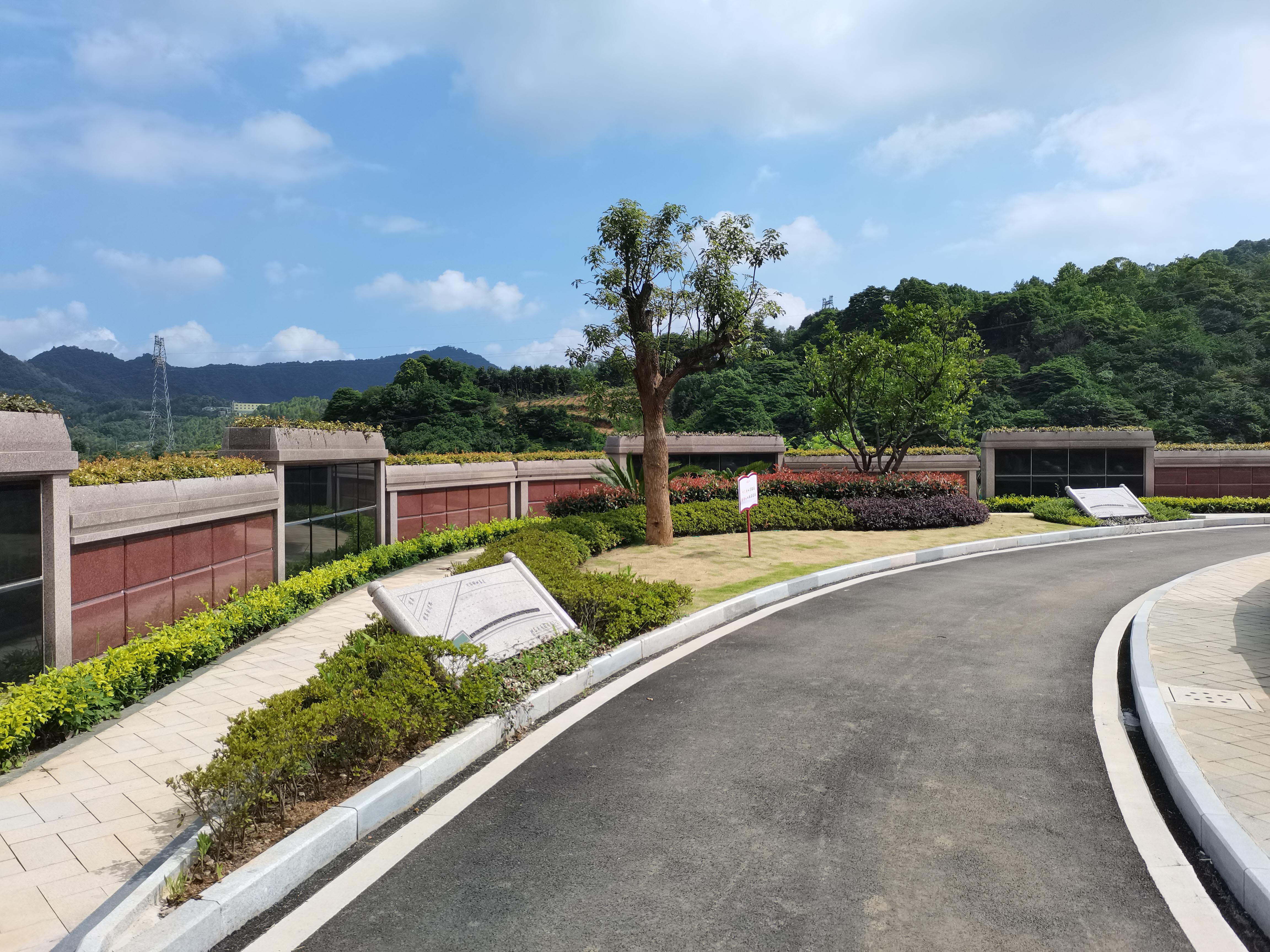 海葬和树葬哪个好？？两种生态葬祭方式的选择与意义