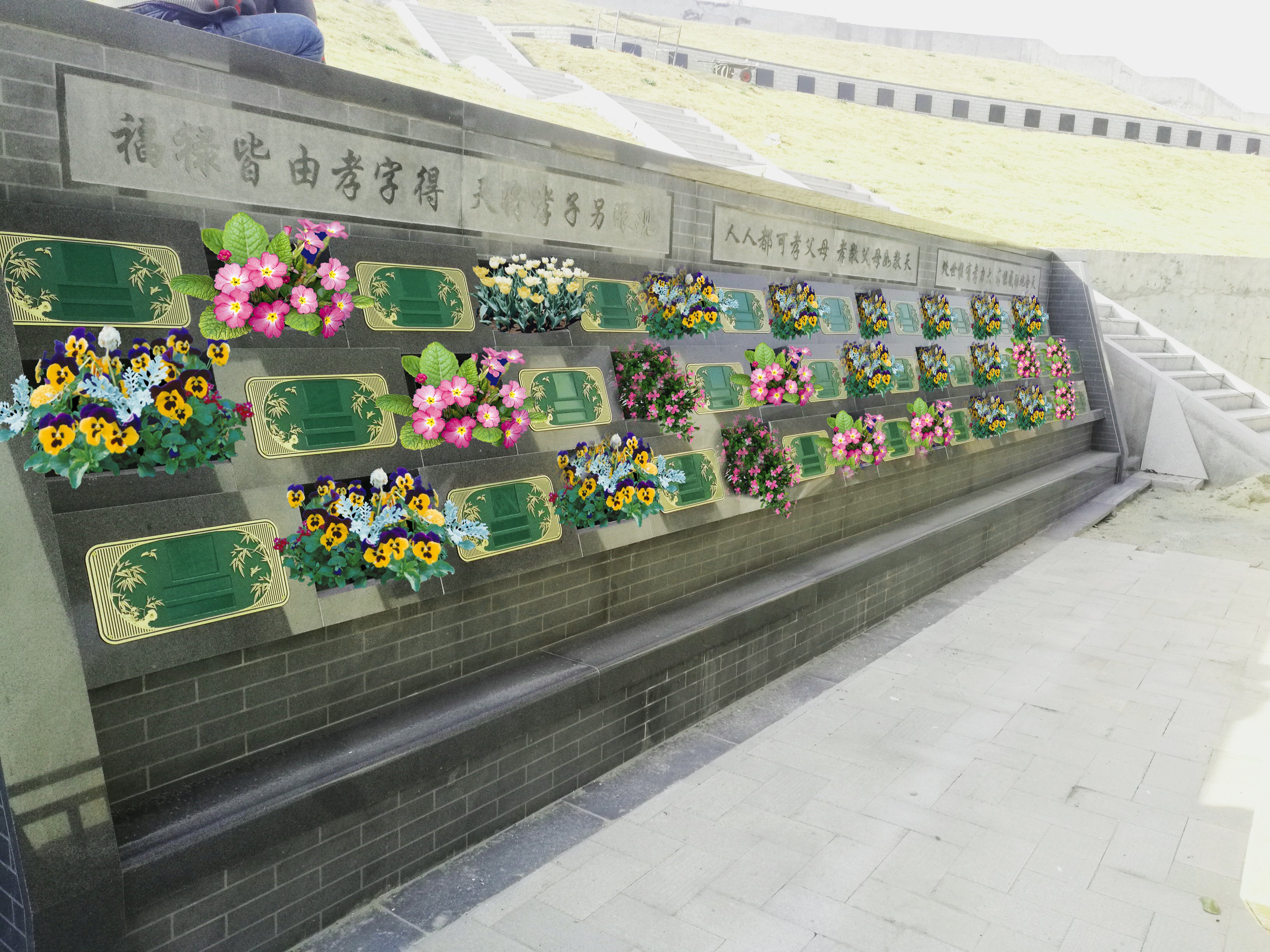 首页-人生就是博