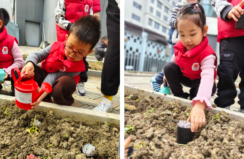 首页-人生就是博