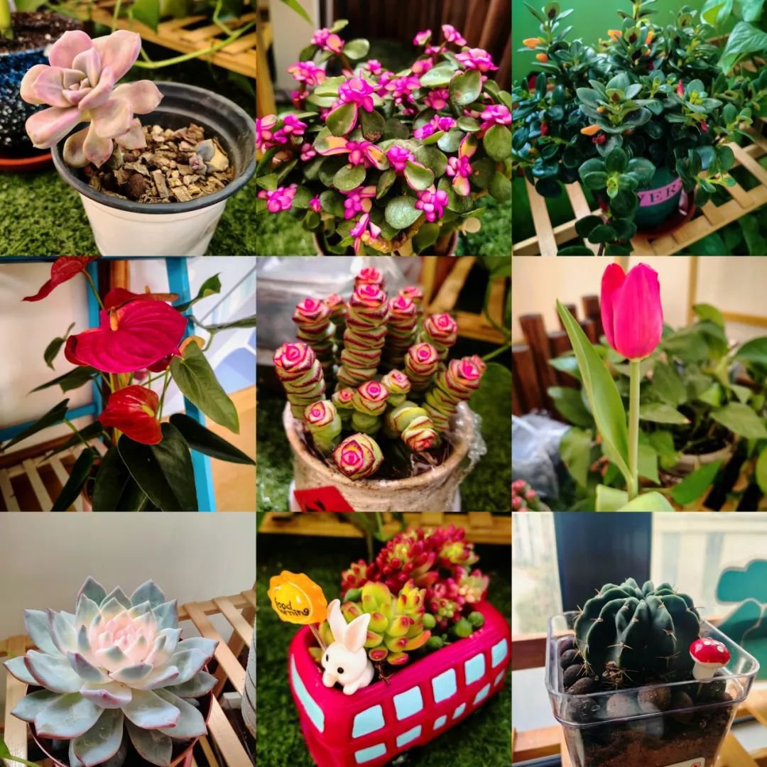 首页-人生就是博