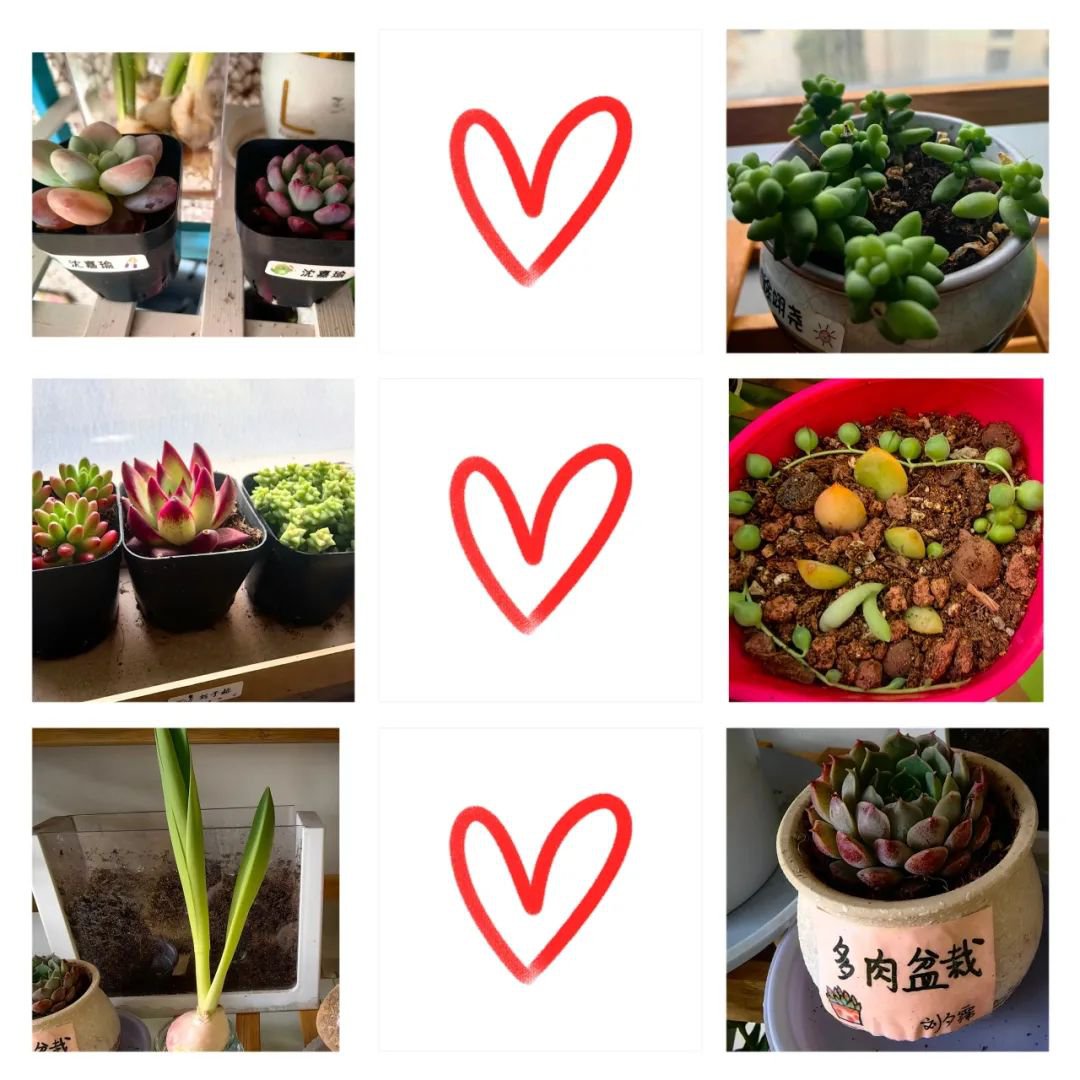 首页-人生就是博